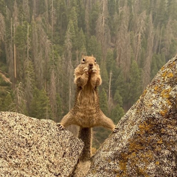 LIKE THIS FLYER to receive SHARE SHOW Notifications! Next Show: November 2025 - Picture 9 of 12